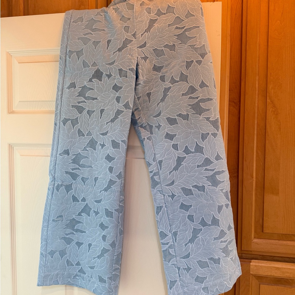 Embroidered Light Blue Pants